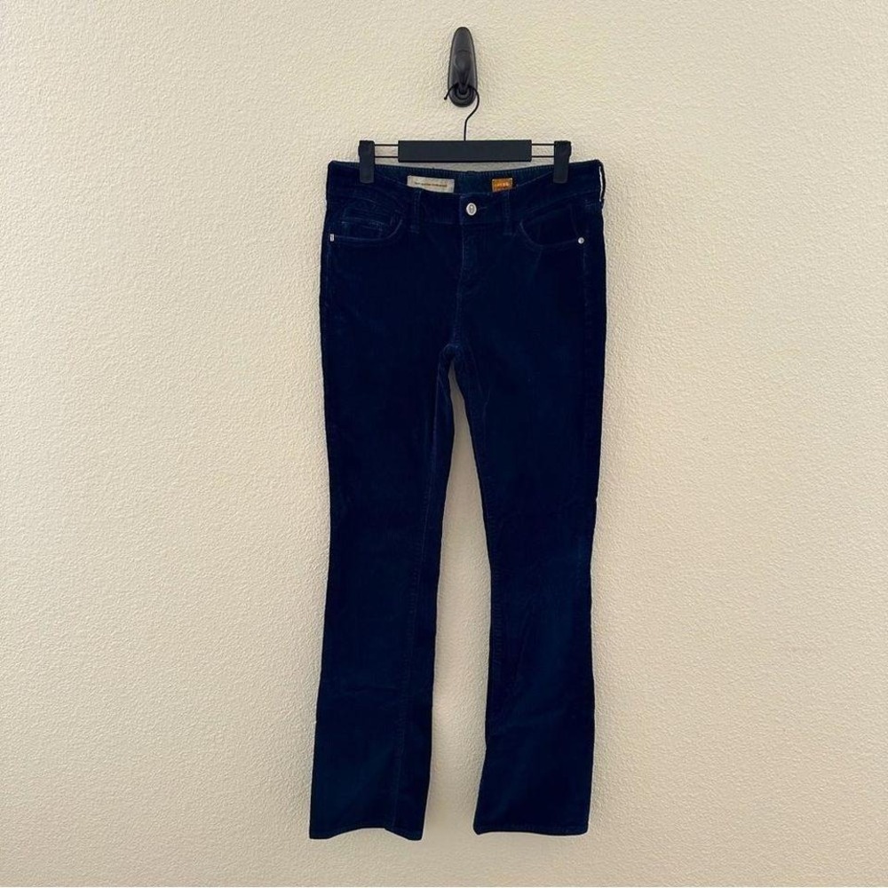 Pilcro Blue Corduroy Stet Slim Straight Leg Pants Anthropologie Dark Academia 28
